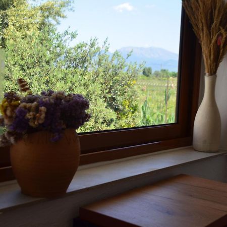 Rustic Tale Guesthouse Luaran gambar