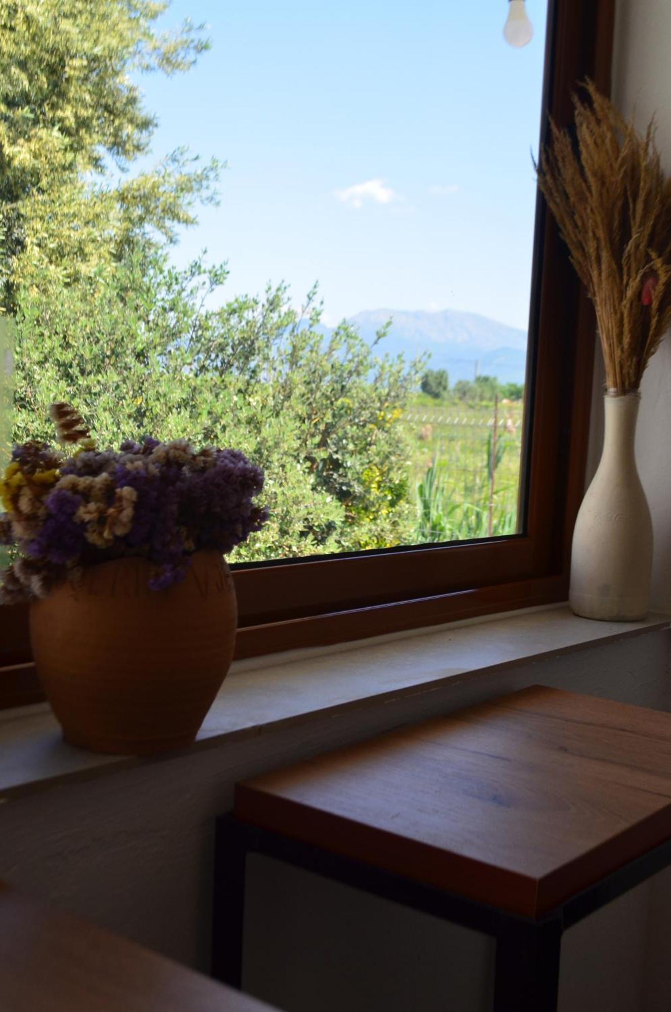 Rustic Tale Guesthouse Luaran gambar