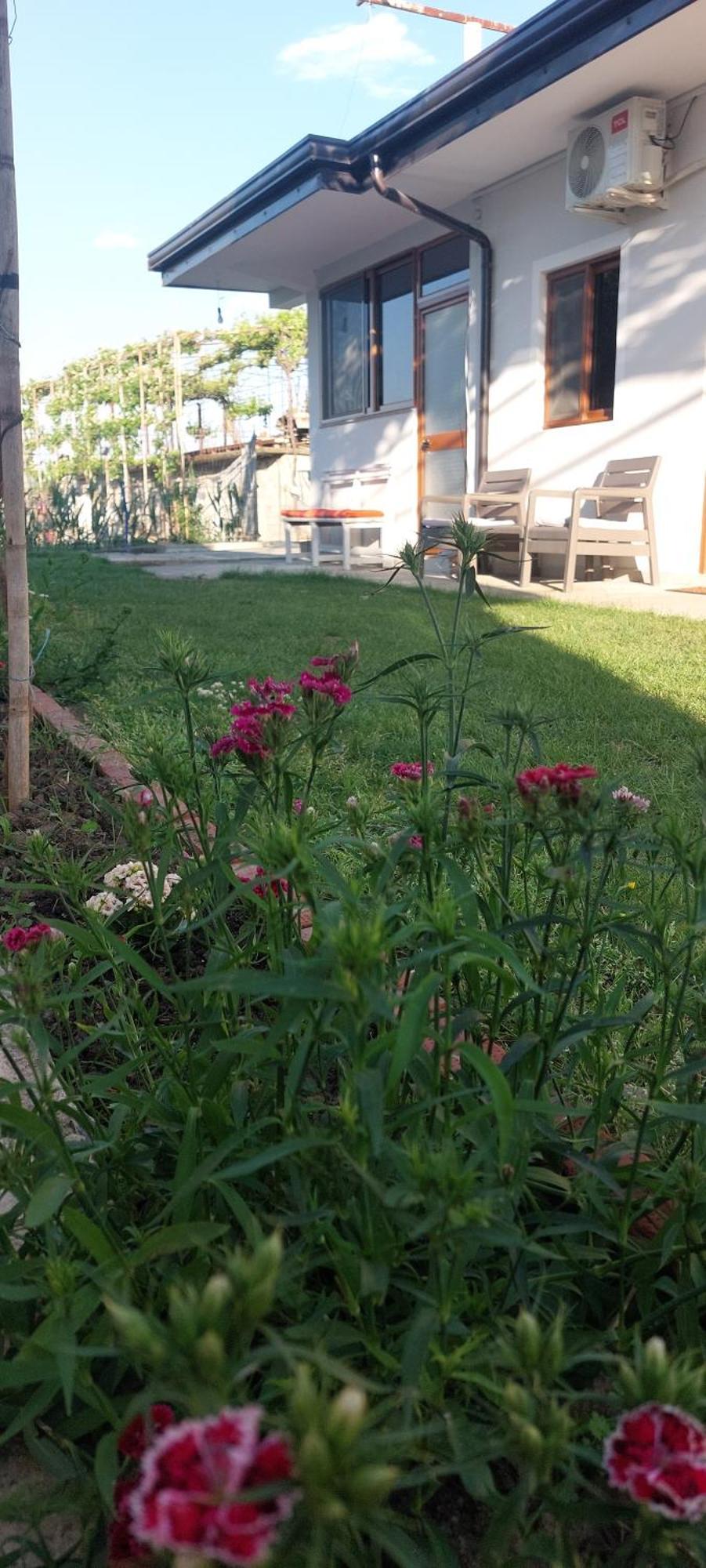 Rustic Tale Guesthouse Luaran gambar